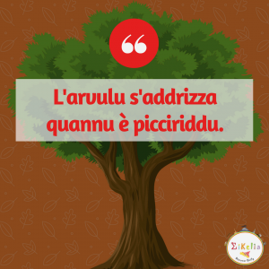 proverbio siciliano 16