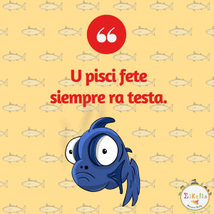 proverbio siciliano 17